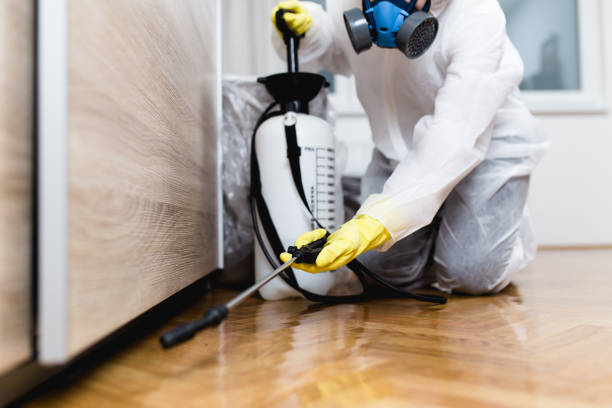 Professional Pest Control in South Patrick Shores, FL