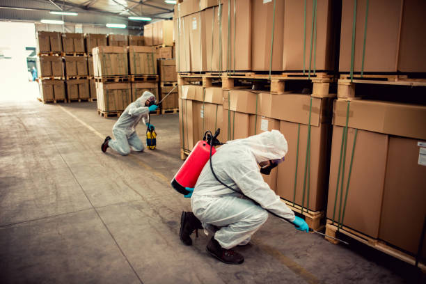 Best Pest Control Near Me  in South Patrick Shores, FL