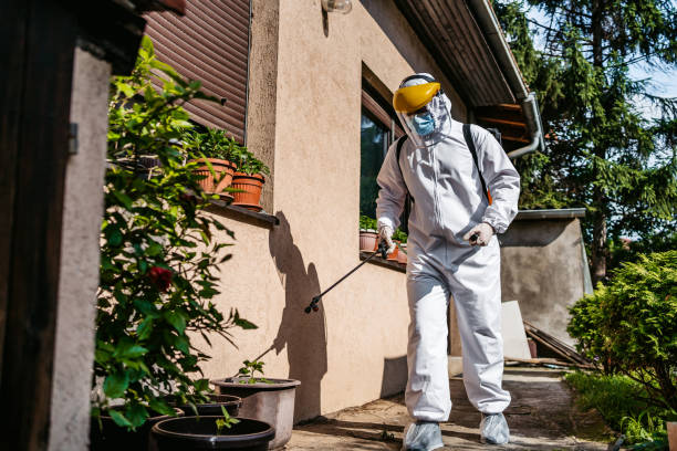 Best Cockroach Control Services  in South Patrick Shores, FL