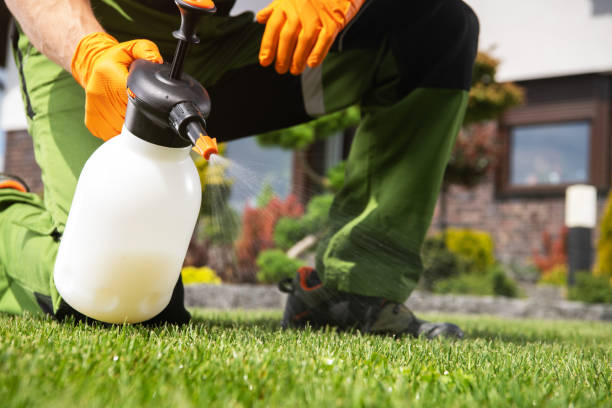 Best Wasp Removal Services  in South Patrick Shores, FL