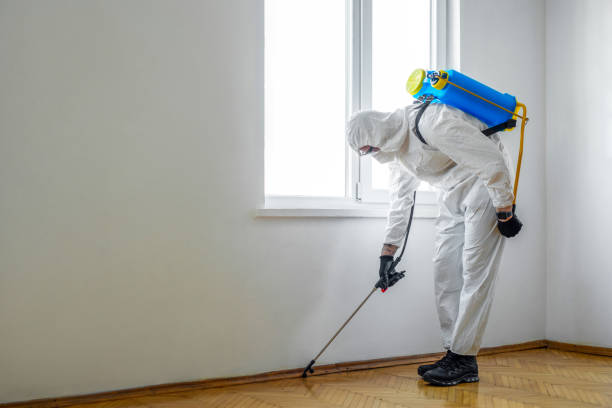 Best Termite Control Services  in South Patrick Shores, FL