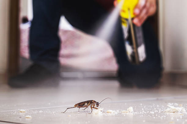 Best Pest Prevention Services  in South Patrick Shores, FL