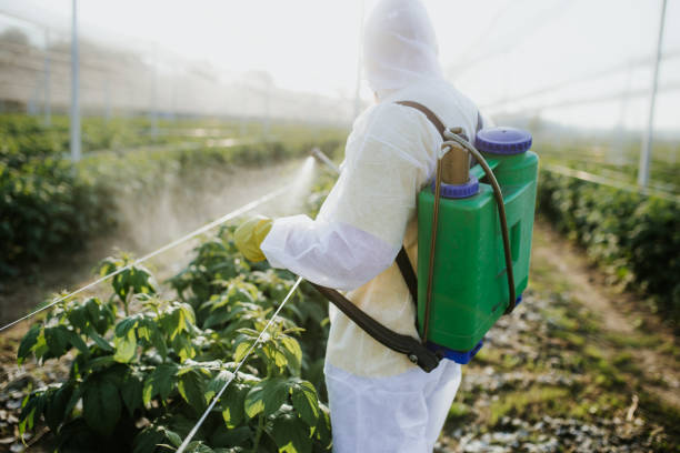 Best Residential Pest Control  in South Patrick Shores, FL